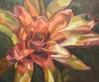 Botanicals - Blushing Bromeliad - Oil On Canvas