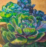 Botanicals - Cabbages - Oil On Canvas
