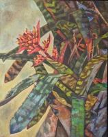 Botanicals - Blooming Bromeliad - Oil On Canvas